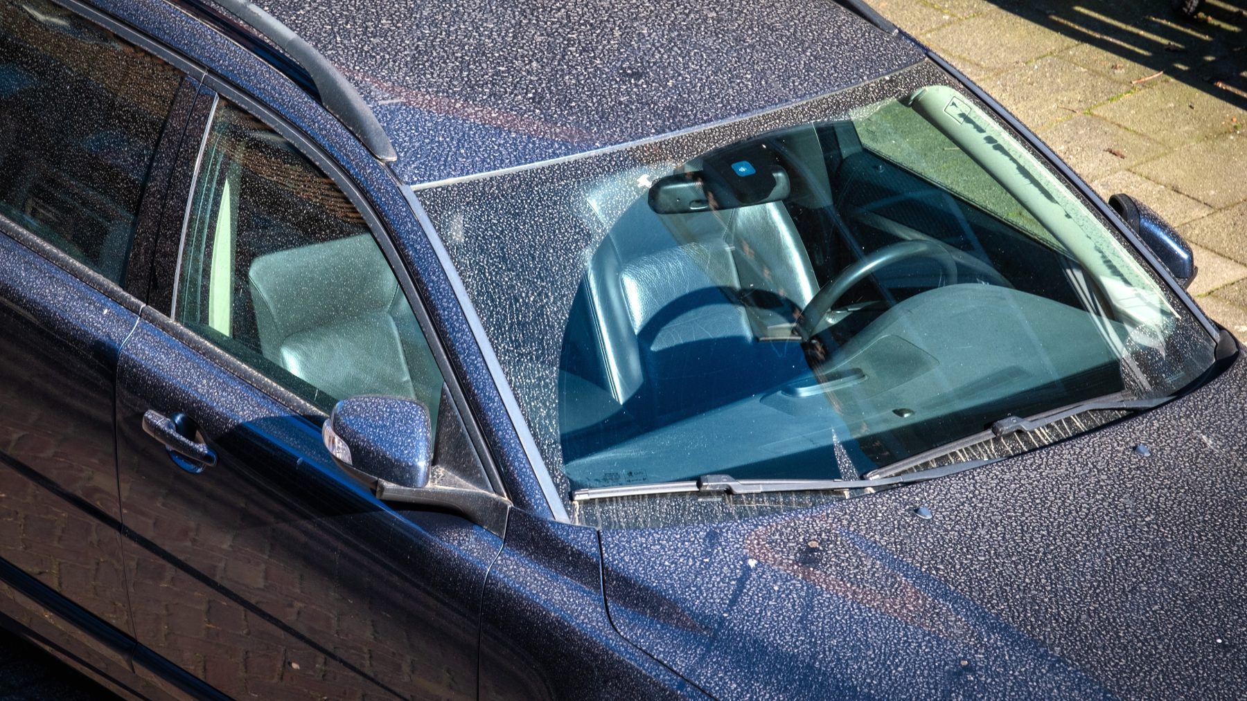 Wéér Saharastof op komst: Onderzoekers zien grote stofwolken naderen