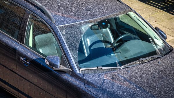 Wéér Saharastof op komst: Onderzoekers zien grote stofwolken naderen