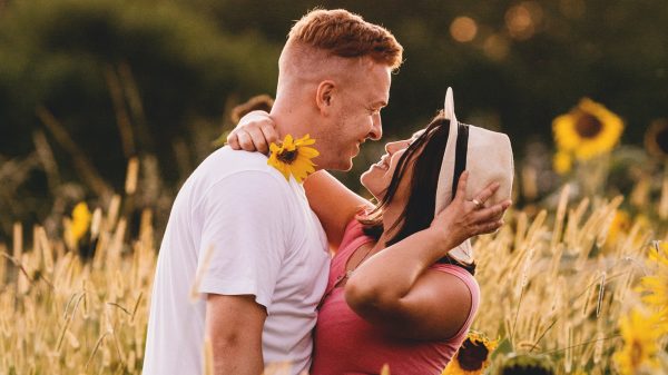 Vozen in 't veld: 'Ik stond voorovergebogen tussen de zonnebloemen'