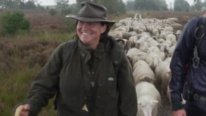 Thumbnail voor Van flatje op 10 hoog naar 500 schapen op de hei: hoeder Suzanne steelt harten van kijkers