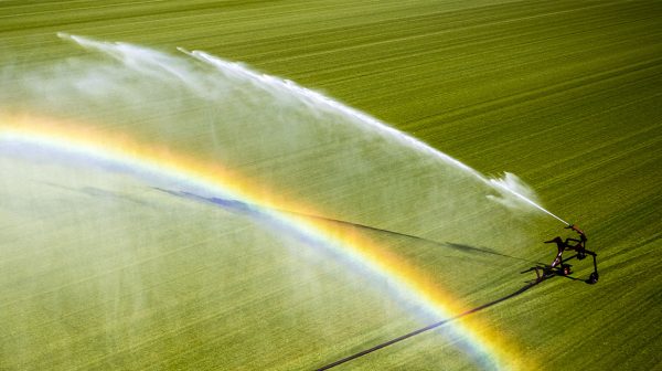 Sproeiverbod op meerdere plekken vanwege droogte