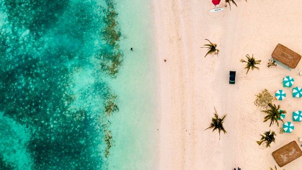 Organisator berucht Fyre Festival Bahama's vervroegd vrijgelaten in maart