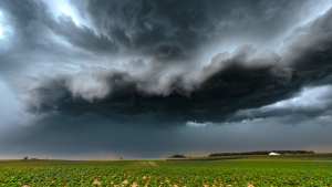 Thumbnail voor Ada zat vast in haar auto tijdens een superstorm: 'Ik dacht dat ik doodging'