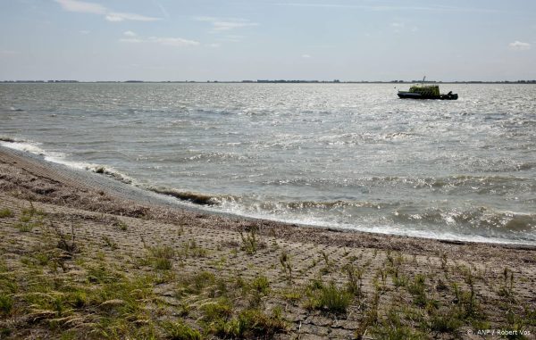 RIVM: eet zo min mogelijk vis uit Westerschelde