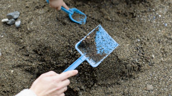 Archeologen ontdekken eeuwenoude 'vleeskuil' in Gelderland