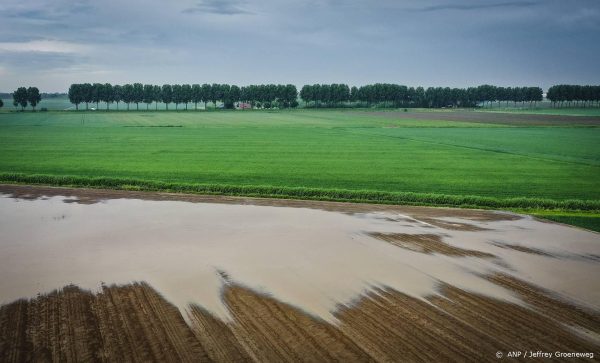 Op een na natste eerste pinksterdag ooit in De Bilt