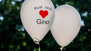 Thumbnail voor Twee kinderen zagen Gino voor het laatst: 'Door man auto ingelokt'