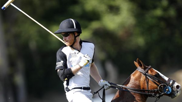Prins Harry valt tijdens potje polo met paard en al