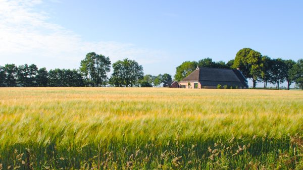 1 op de 5 huizen op platteland verkocht aan Randstedeling