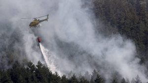 Thumbnail voor Al 20.000 hectare bos afgebrand in noordwesten Spanje