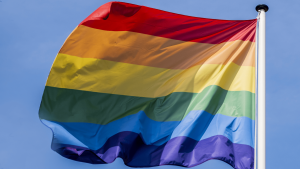 Thumbnail voor Homohuwelijk blijft in Japan verboden