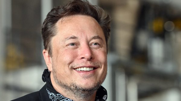Elon Musk tweeling