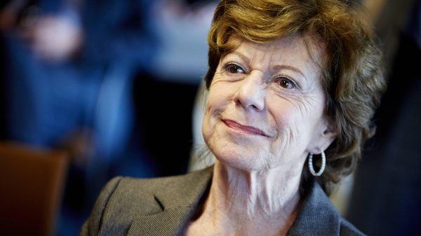 neelie kroes