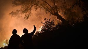 Thumbnail voor Bosbranden en hitte teisteren grote delen van Zuid-Europa