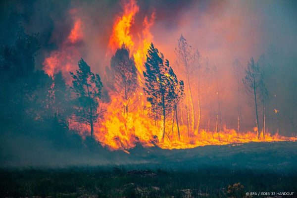 Bosbranden zuidwesten Frankrijk blijven verspreiden, opnieuw evacuaties