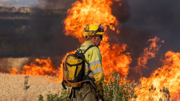Hevige branden in Griekenland, Spanje, Slovenië, Italië en Tsjechië