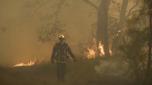 Thumbnail voor Honderden campinggasten geëvacueerd om Zuid-Franse bosbranden
