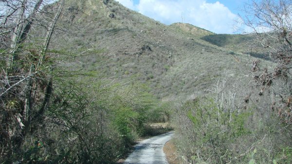 Nederlandse toerist na wandeling vermist op Curaçao