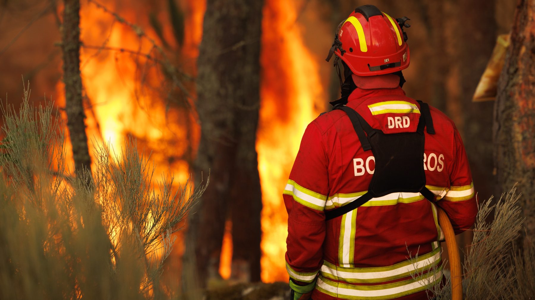 bosbranden Portugal