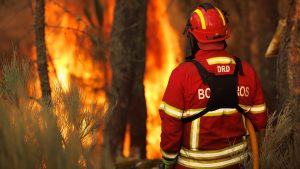 Thumbnail voor Grote bosbranden, hitte en droogte geselen Portugal en Frankrijk