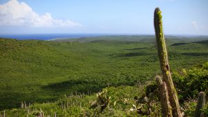 Thumbnail voor Op Curaçao gevonden lichaam is van vermiste toerist uit Leiden