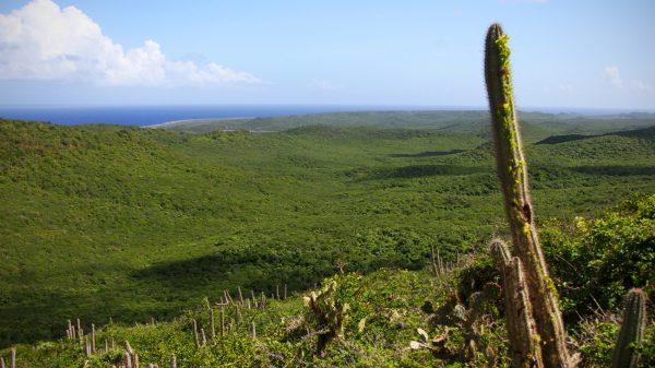 Op Curaçao gevonden lichaam is van vermiste toerist uit Leiden