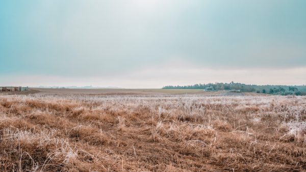 Officieel watertekort door droogte, verdeelplan treedt in werking