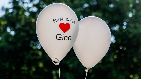 'Donny M. bekent doden en ontvoeren 9-jarige Gino'