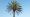Man betrapt met gestolen palmboom op zijn scootmobiel