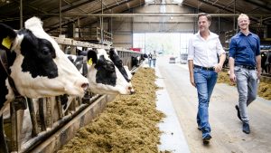 Thumbnail voor Rutte na gesprek melkveehouder: 'Ik kan zorgen niet wegnemen'