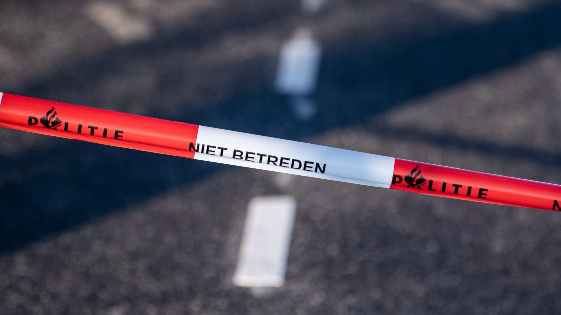 Politielint