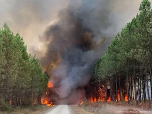 Cruciale autosnelweg naar Spanje deels dicht wegens bosbranden