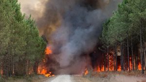 Thumbnail voor Duizenden evacuaties wegens 'monsterlijke' brand in Frankrijk: 'Gevecht tegen het vuur'