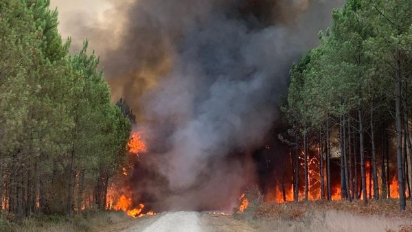 bosbranden Frankrijk