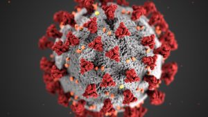 Thumbnail voor Nieuw virus duikt op in China: inmiddels 35 mensen besmet