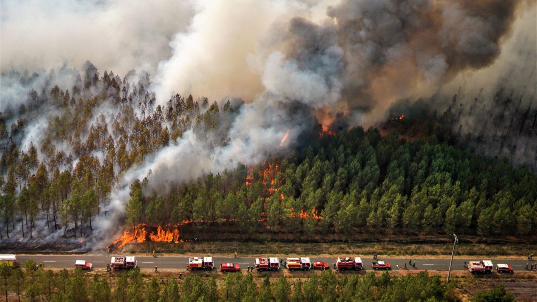 Frankrijk vecht tegen bosbranden, ook in de Ardèche is het raak