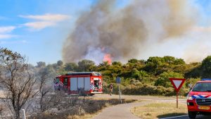 Brandweer wil meer regels vanwege toegenomen risico op natuurbranden