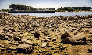 Ergste droogte Europa in 500 jaar door 'schaarse regenval en hittegolven'