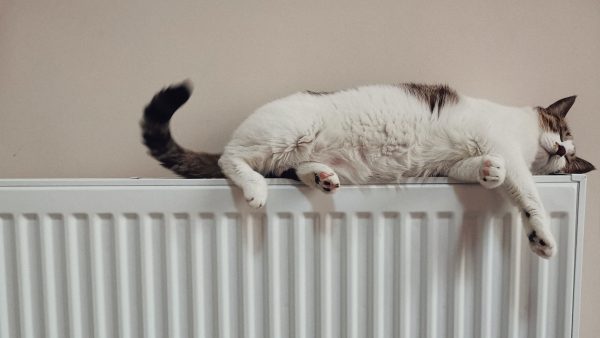 Record: Europese gasprijzen naar hoogste piek in zes maanden