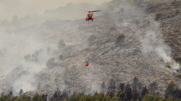 Trein in Spanje ingesloten door bosbrand: reizigers in paniek en gewond