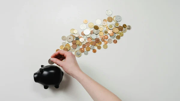 zwart spaarvarken geld eurocenten