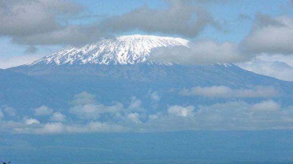 kilimanjaro