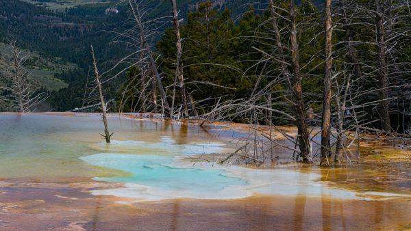 Medewerker Yellowstone doet lugubere vondst: schoen met voet dobbert rond in warmtebron