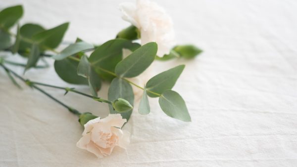 Nabestaanden kiezen na de begrafenis steeds vaker voor alsnog een crematie