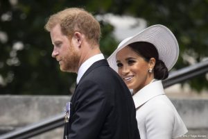 Thumbnail voor Meghan en Harry adopteren hondje dat uit fokfabriek is gered