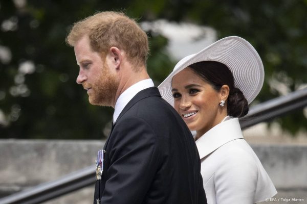 Meghan en Harry adopteren hondje dat uit fokfabriek is gered