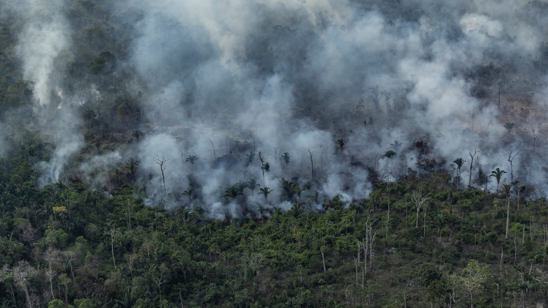 Branden in Amazonegebied nemen toe