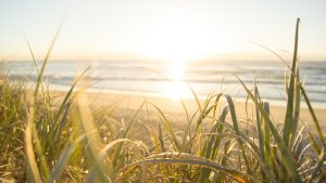 Thumbnail voor KNMI: zomer nu al recordzonnig, meer zon dan in 1976