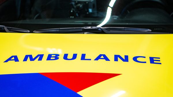 Man (21) uit Deurne belandt onder boomstam en overlijdt