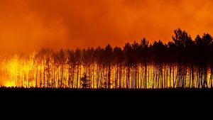 Thumbnail voor Vrijwillige student-brandweerman opgepakt om Franse bosbranden